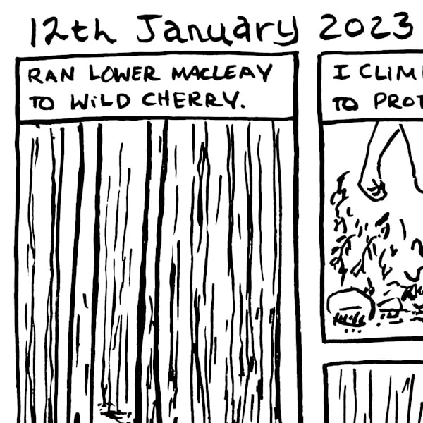 12th Jan 2023 Comic