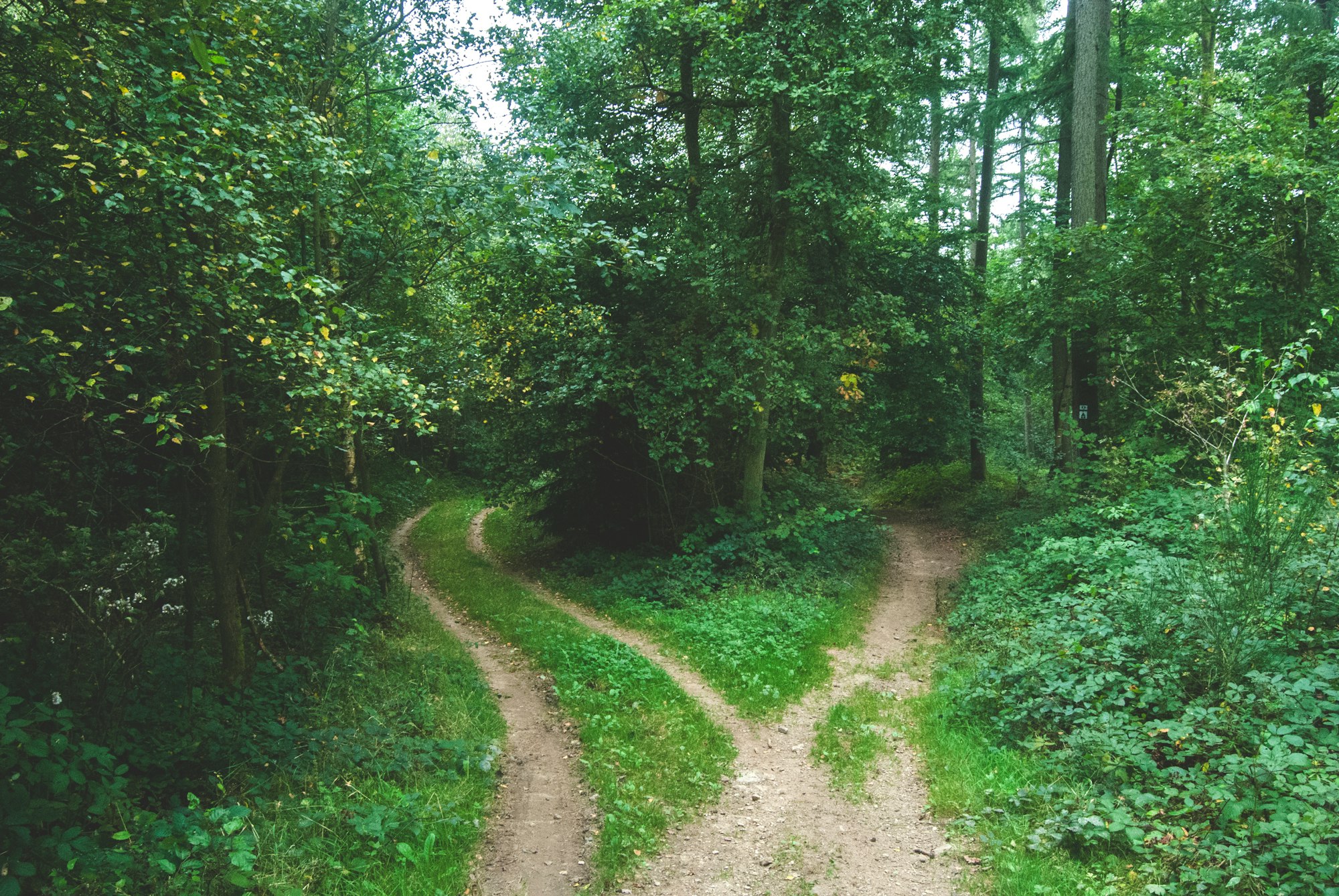 The Excuse Fork in the Road