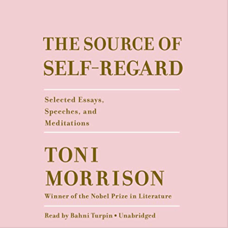 Audio book cover of "The Source of Self-Regard: Selected Essays, Speeches, and Meditations" 