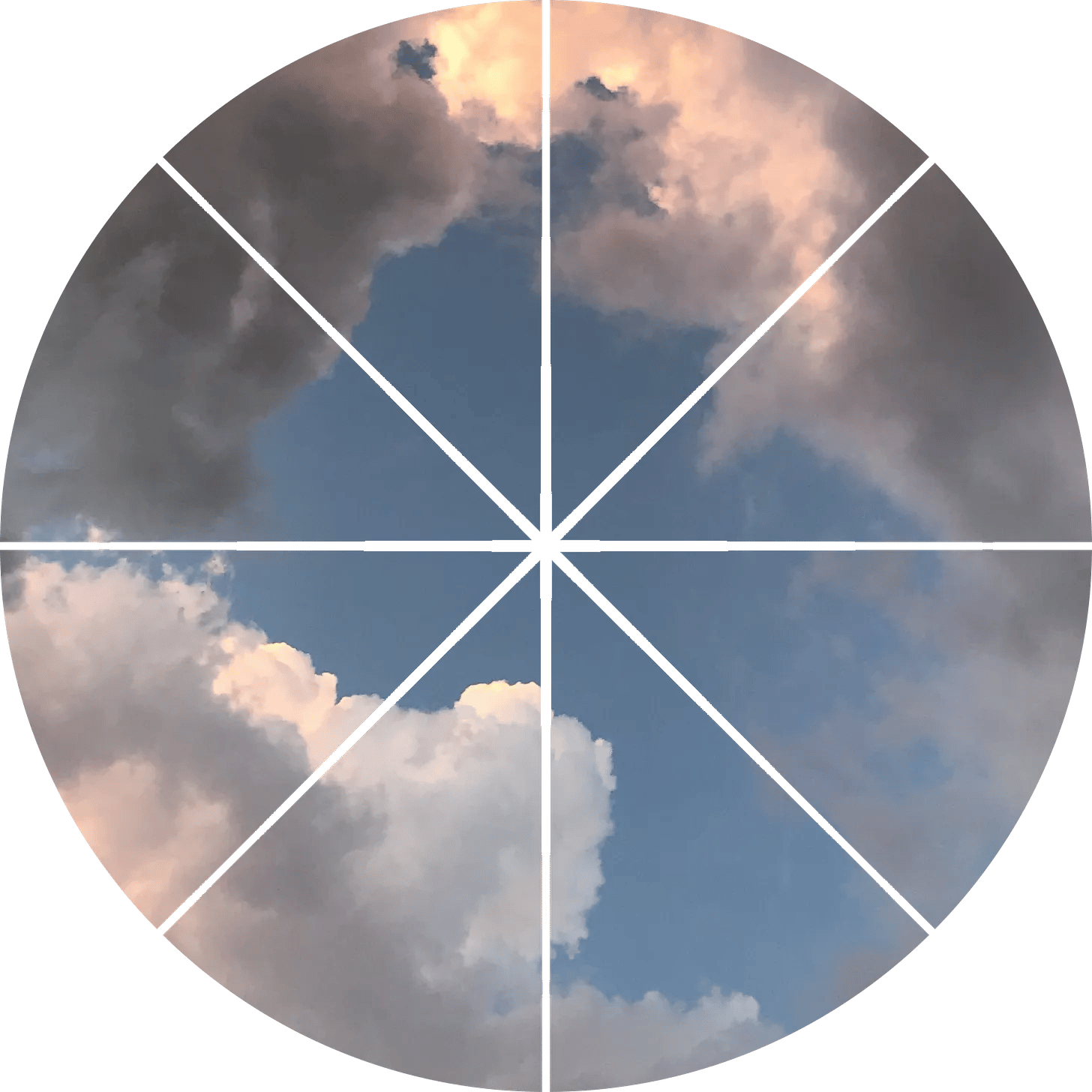 The Radical Business Owner's Guide to Profit