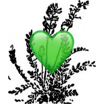 PLNT LYFE logo