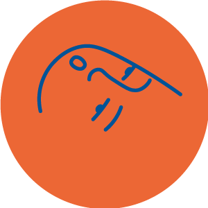 Data the Senses logo
