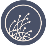 ʄilaments logo