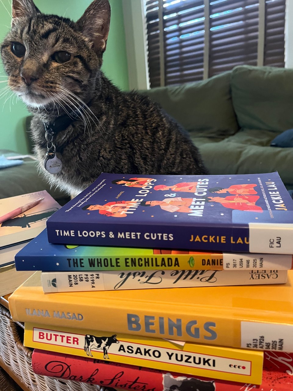 A stack of five books on a coffee table with a tabby cat and couch behind them.