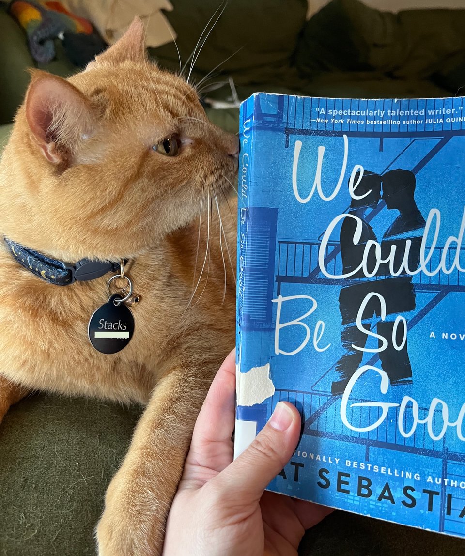 A white person's hand holds the paperback edition of We Could Be So Good by Cat Sebastian, next to an orange tabby cat.