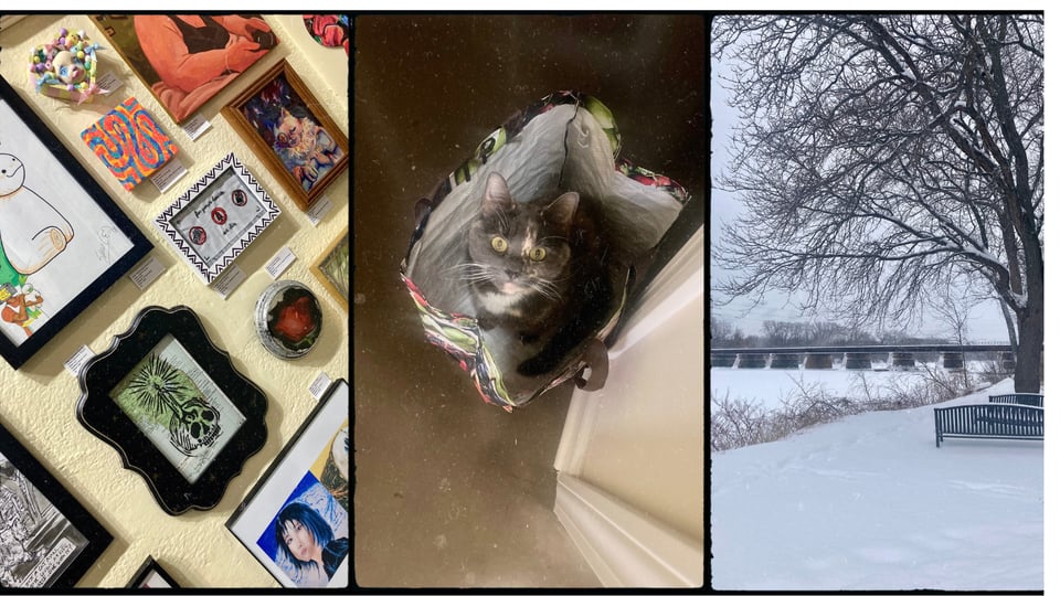 Grid with three photos. L-R: an art gallery wall showing framed pieces, including a skull block print by D's husband and a Twin Peaks embroidery by D; a silly gray cat in a grocery bag, staring up with crazy eyes; a snowy, frozen river with trees, benches, and a railroad bridge.
