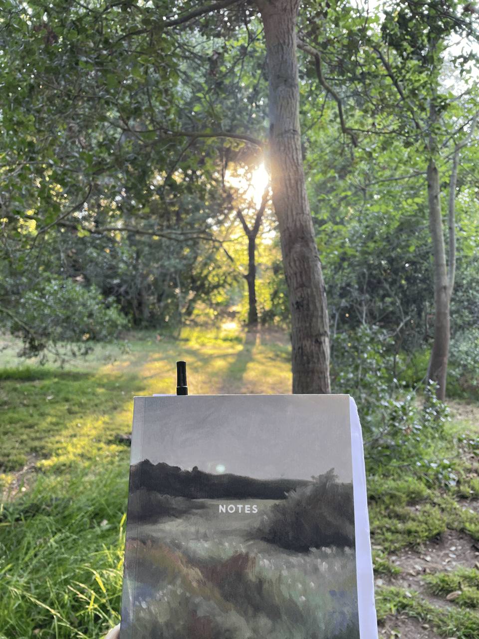 A notebook with a nature cover in the foreground. In the background the setting sun glows between tree branches