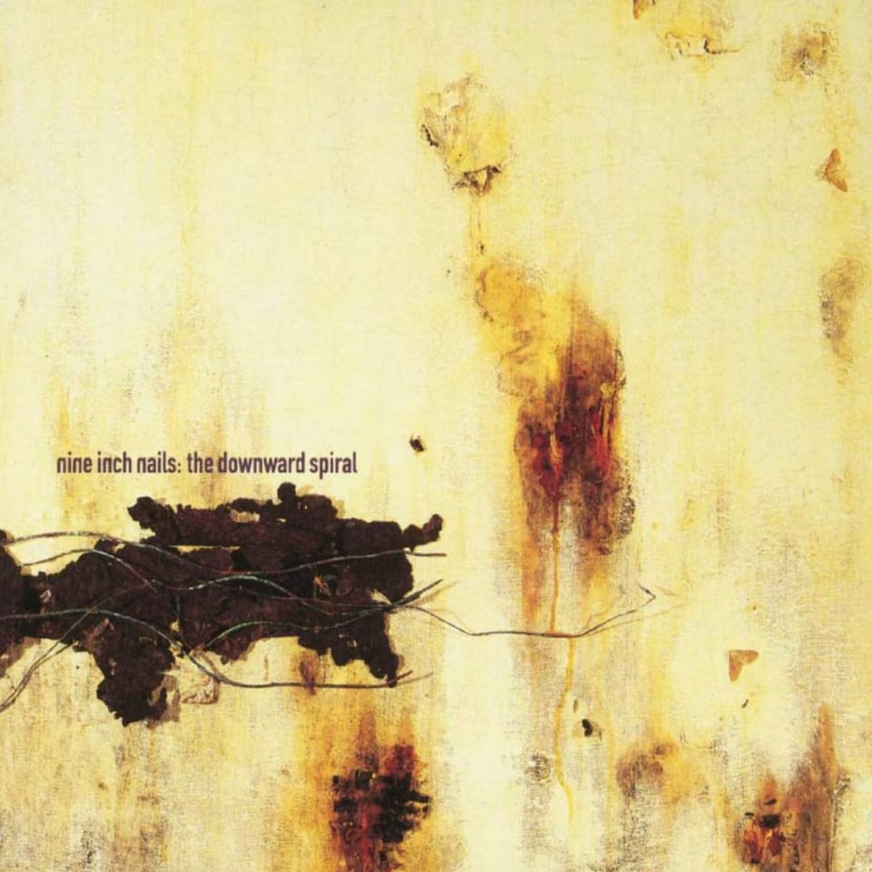 The album cover for Nine Inch Nail's