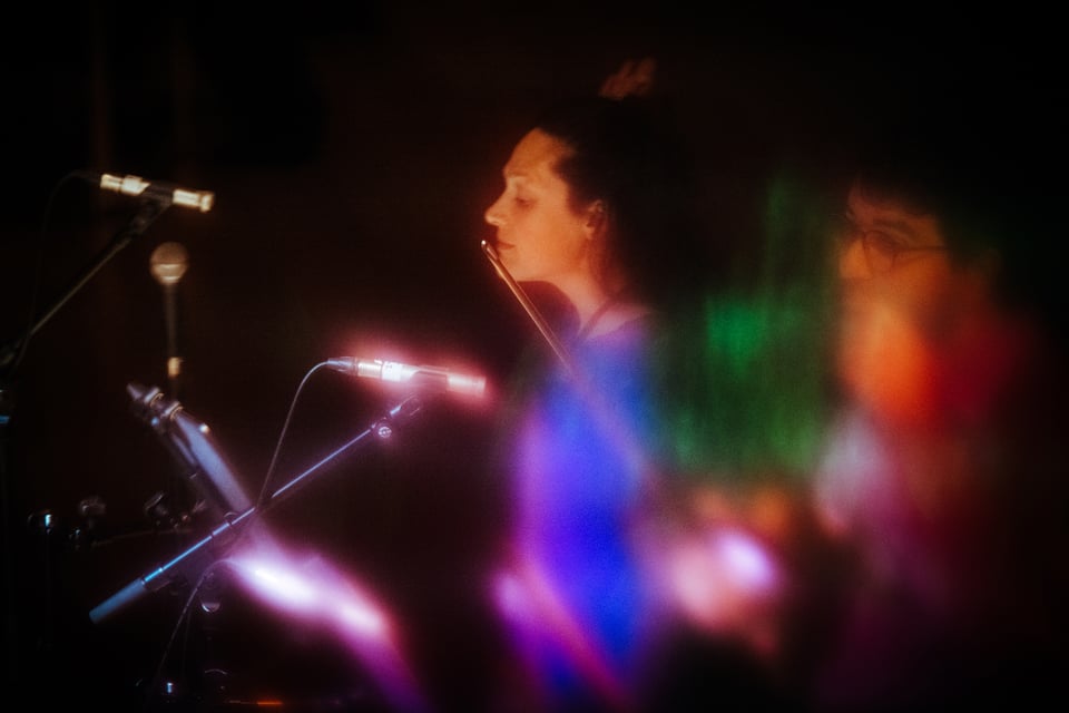 violinist and guitarist in live performance