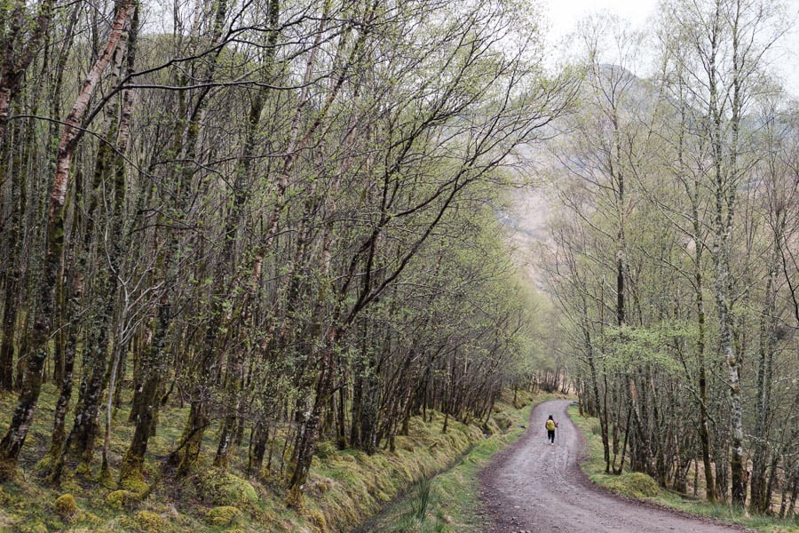 22 - Green descent to Kinlochleven.jpg