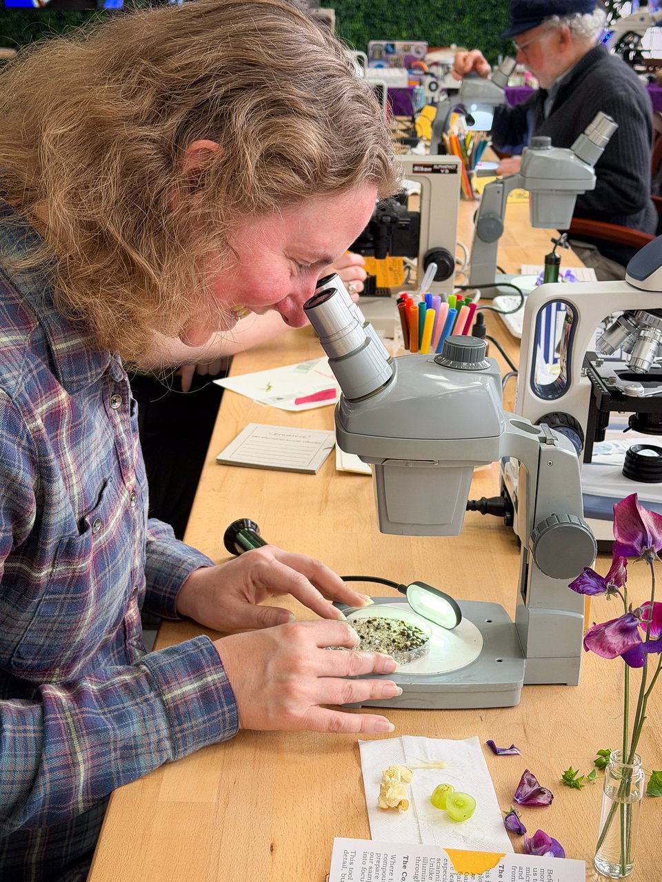 A woman examines a petri dish under a microscope while surrounded by colorful stationery and plants in a bright, indoor lab setting.