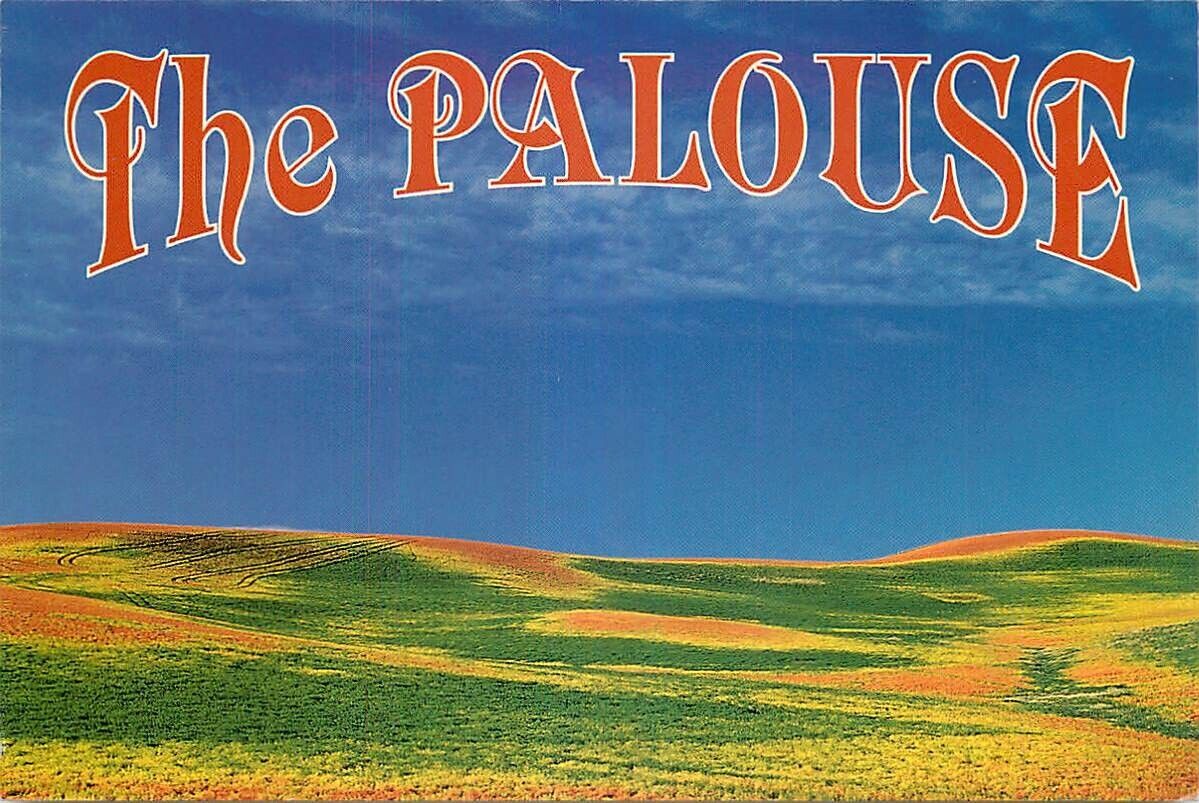 52 Weeks of 📣 More Parades