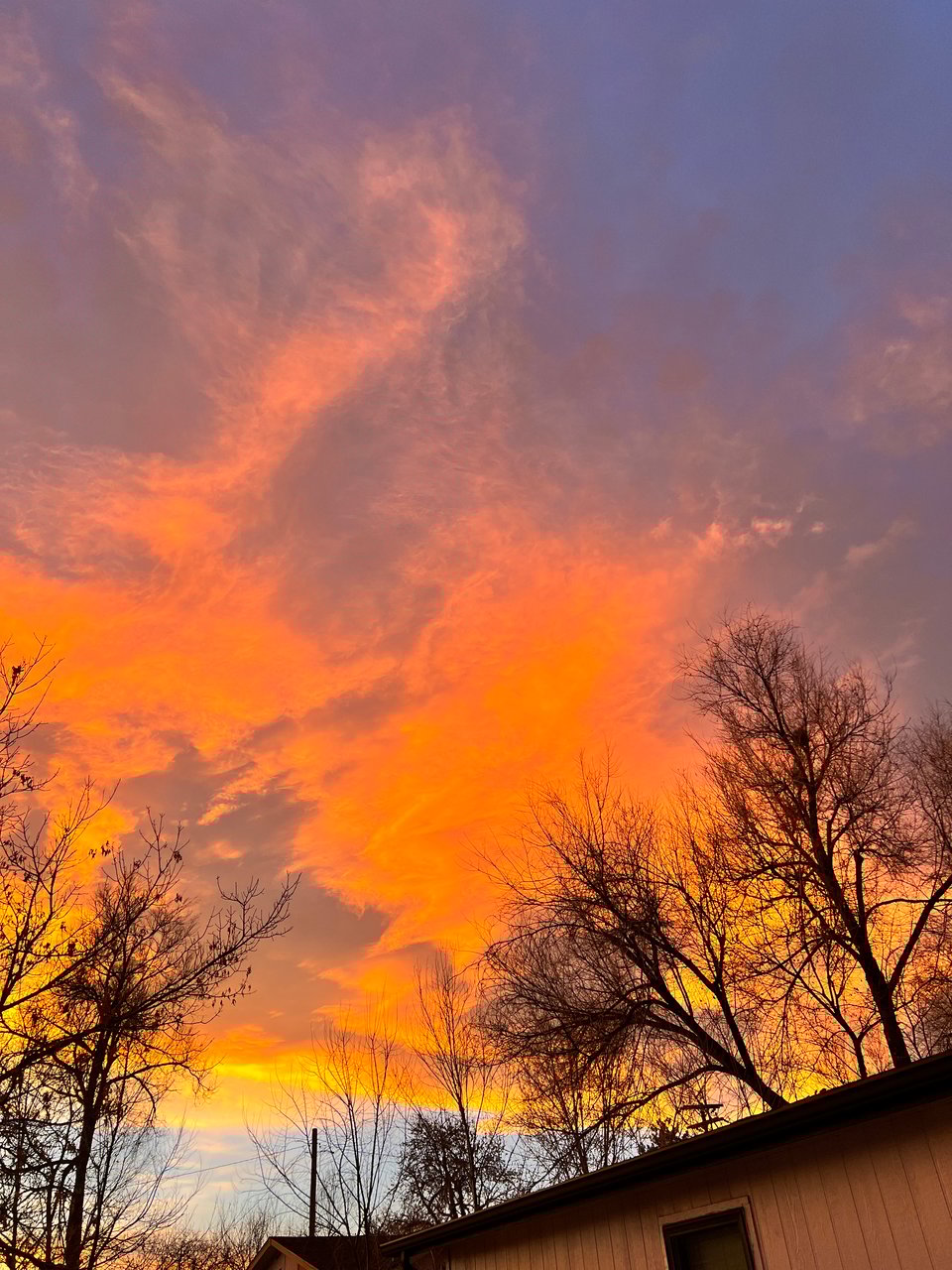 A sky at sunset with bright orange clouds and trees outlined in the foreground