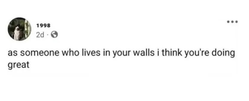 Tumblr screenshot? I'm not actually sure. "as someone who lives in your walls i think you're doing great.