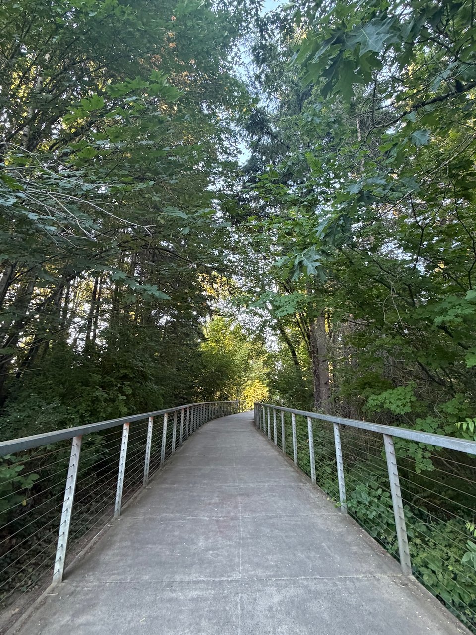 a view from the middle of a pedestrian bridge with trees and bushes on either side.