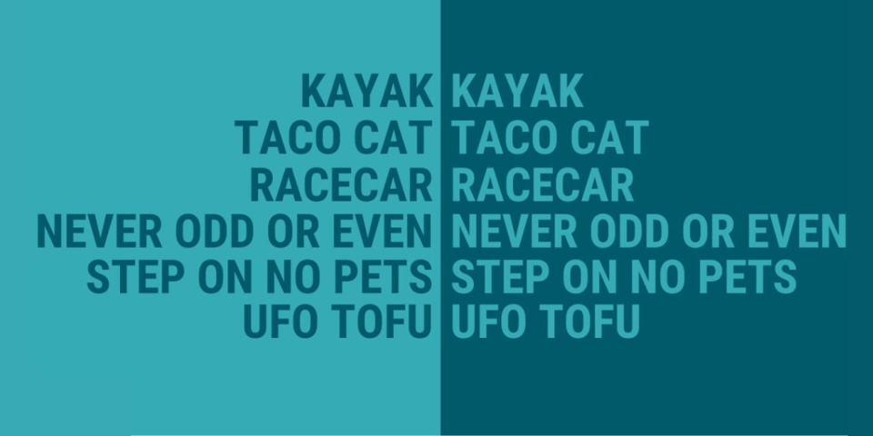 A selection of palindromes like "Never odd or even".