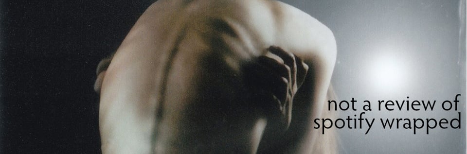 Cropped section of the cover of daine's "i want the light to swallow me whole" ep with the words "not a review of spotify wrapped"