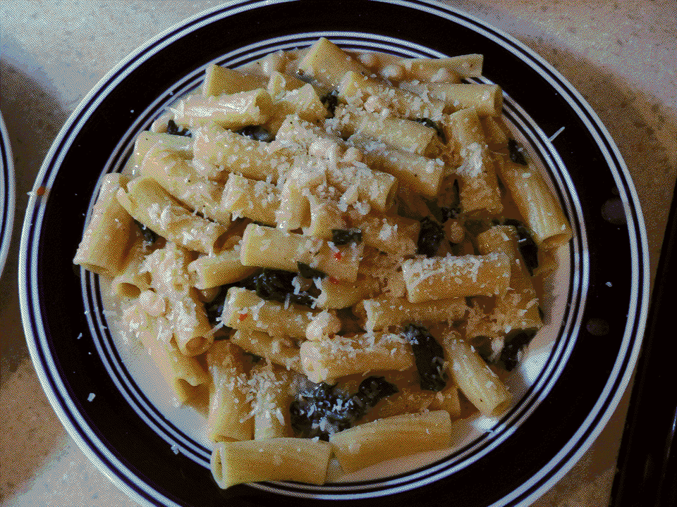 A plate of thick, tubular pasta in a light sauce with beans and greens, topped with shredd cheese.