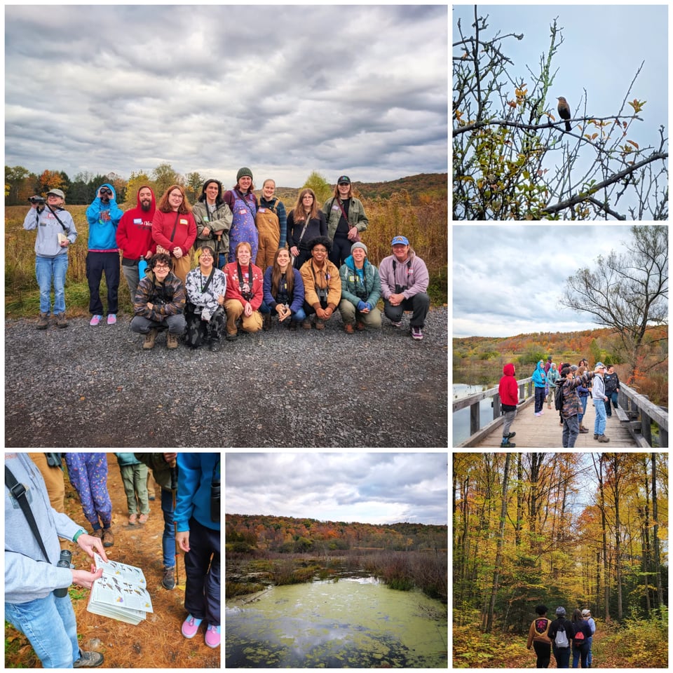 Some photos from our birding hike at Pleasant Valley