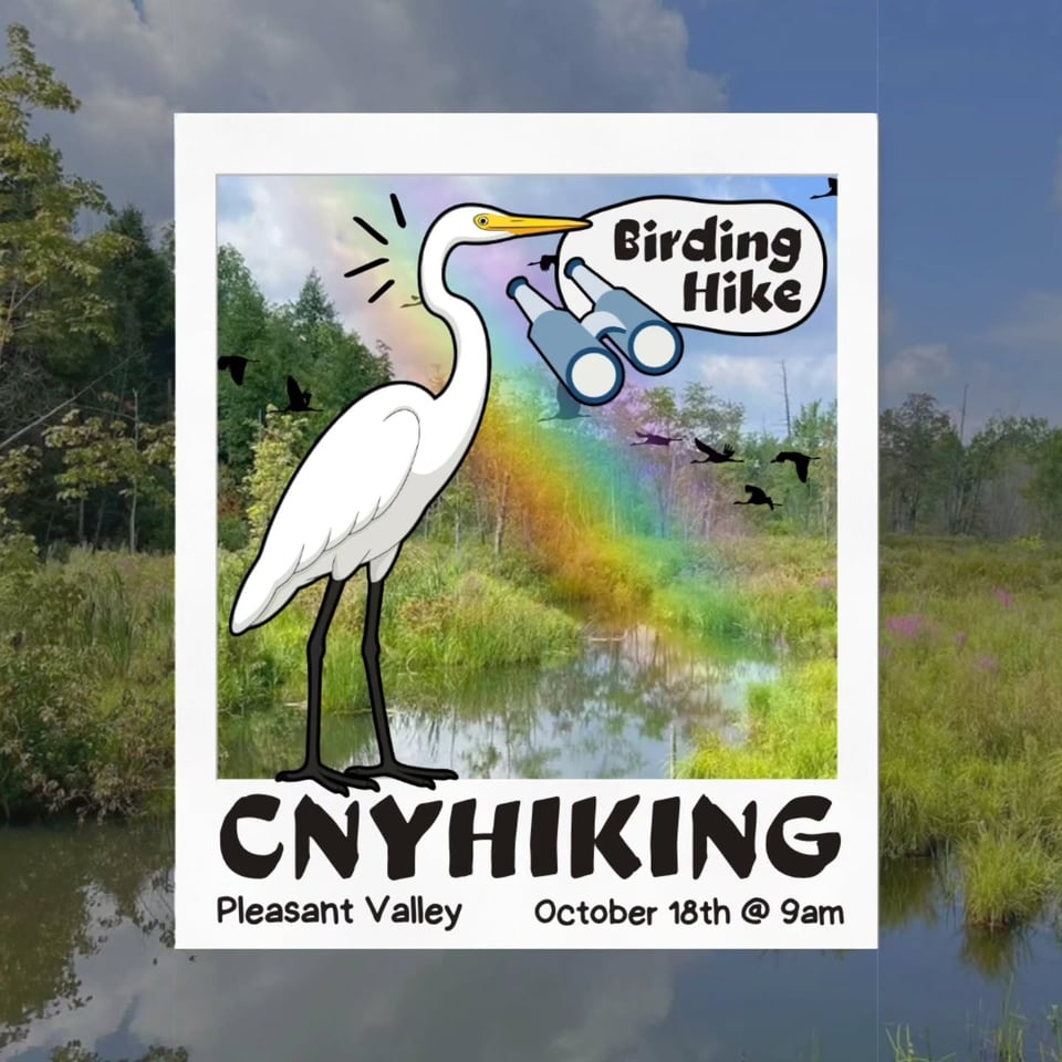 CNY Hiking Birding Hike: Pleasant Valley October 18th @ 9am