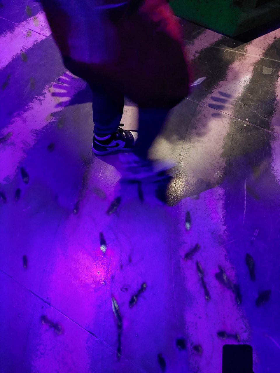 Bugs under the floor