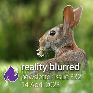 A bunny with a flower in its mouth, looking over its shoulder. Text says "reality blurred newsletter issue 332, 14 April 2023"