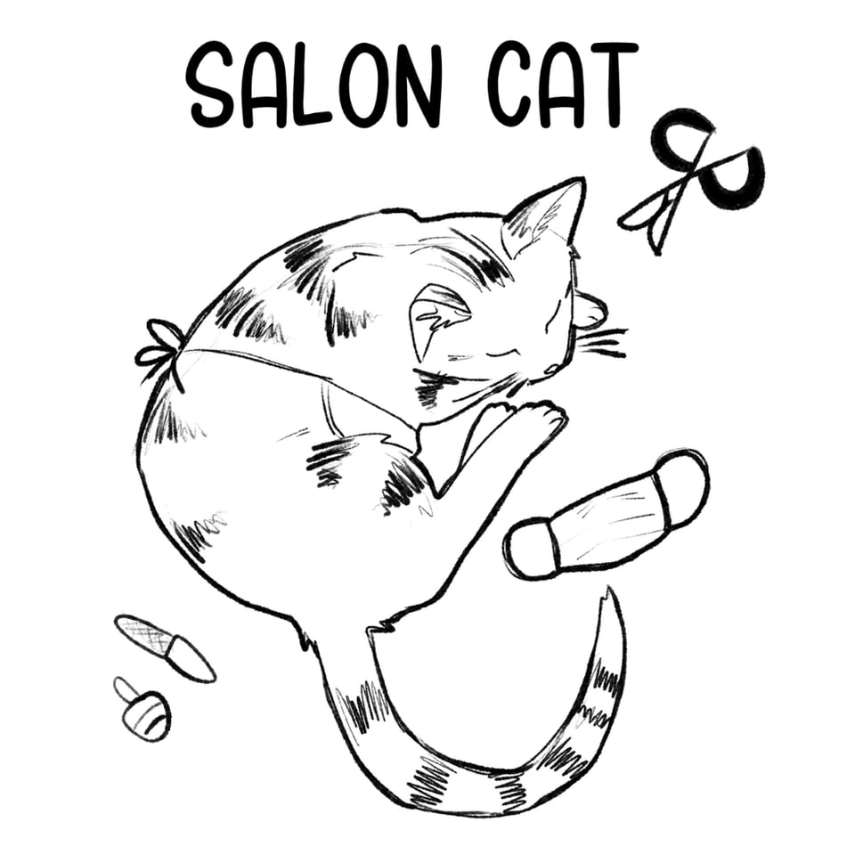 Drawing of a cat asleep with salon supplies around it and text reading "Salon Cat"