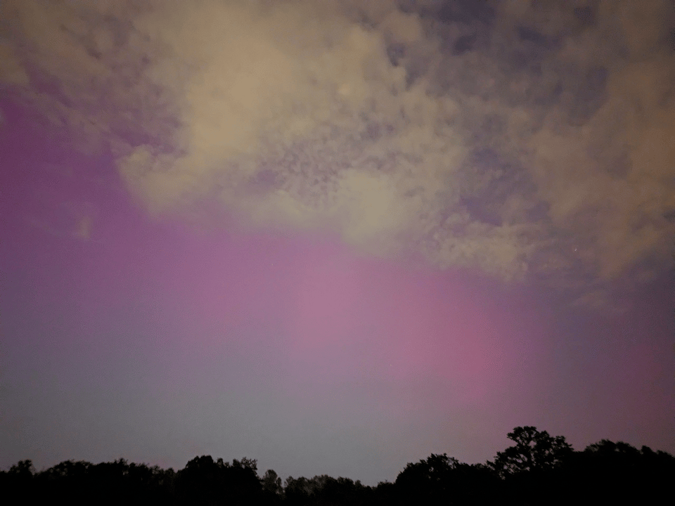 A white cloud in the top third, then a pink ribbon (the aurora) for another third, then a light-polluted Berlin sky and a treeline in silhouette