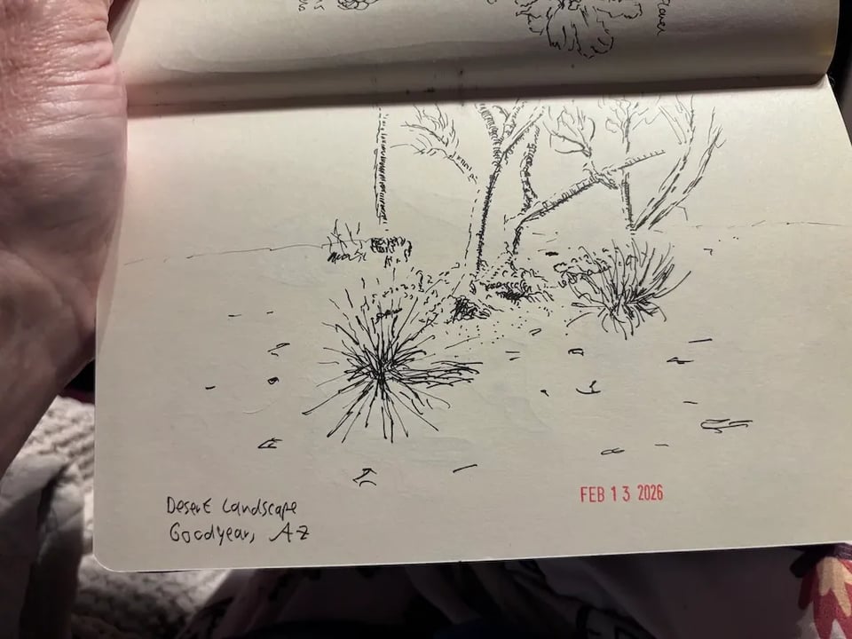 desert landscape pen and ink sketch