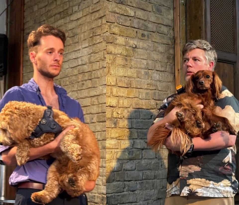 Two cute dogs on stage with two cute owners.