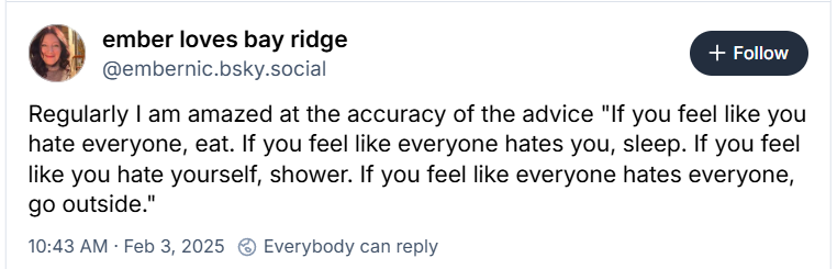A Bluesky skeet from user @embernic.bsky.social. It reads: "Regularly I am amazed at the accuracy of the advice "If you feel like you hate everyone, eat. If you feel like everyone hates you, sleep. If you feel like you hate yourself, take a shower. If you feel like everyone hates everyone, go outside. "