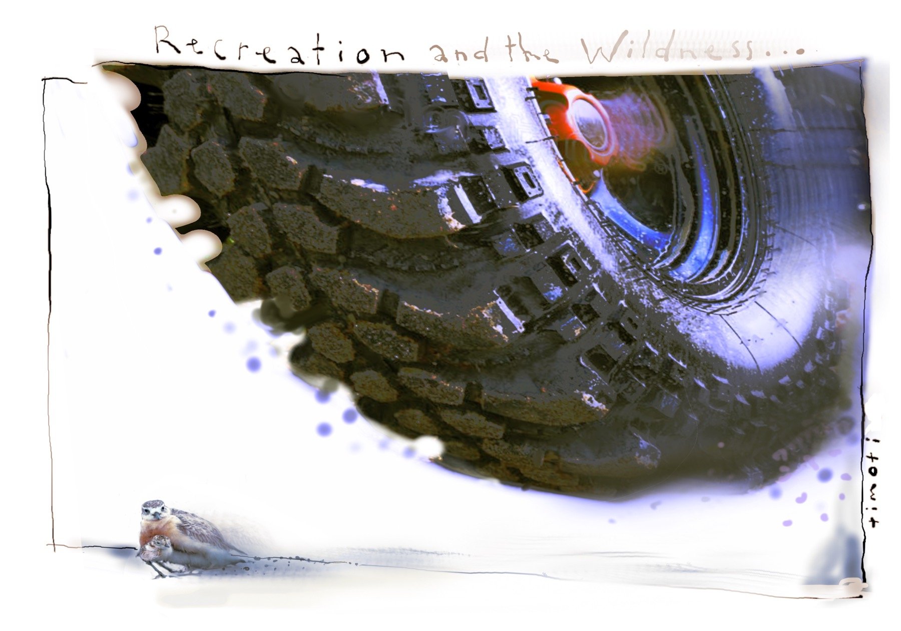 Recreation and the Wilderness . 
