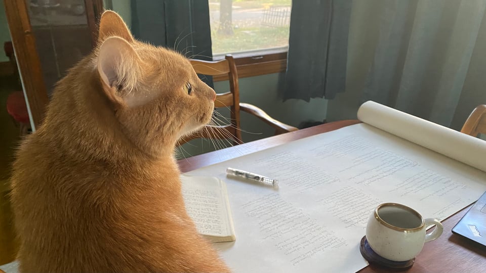 an orange cat looking out a window while sitting on a wooden dining table with a large sheet of paper with outline written on it.