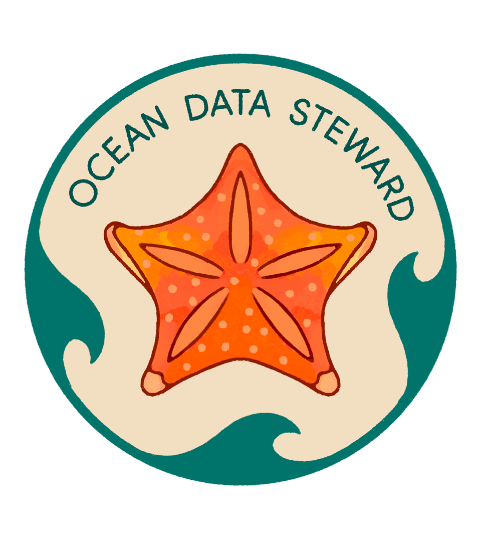 An hand-drawn illustration of orange starfish centered in a circle with teal waves around the border. It's very cool.