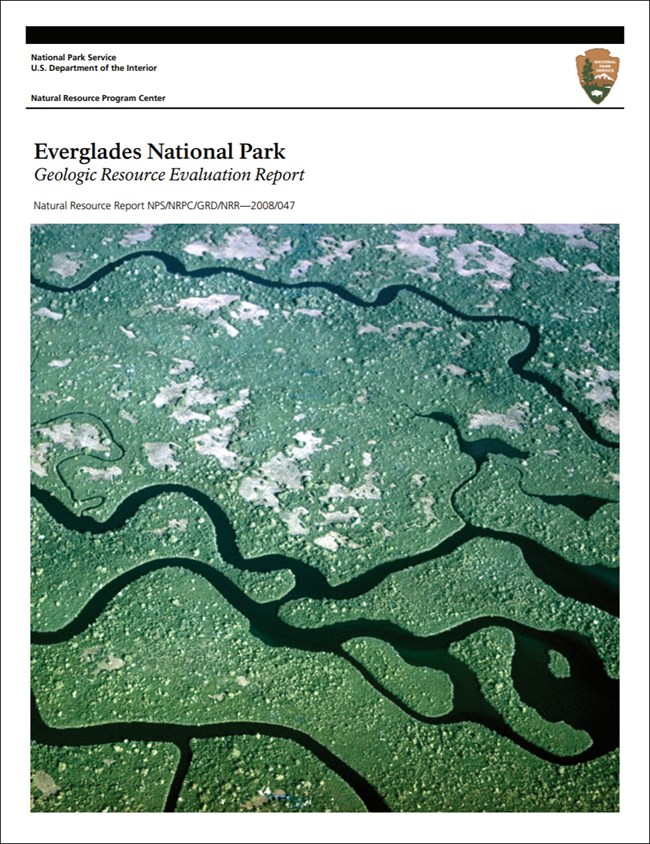 everglades report