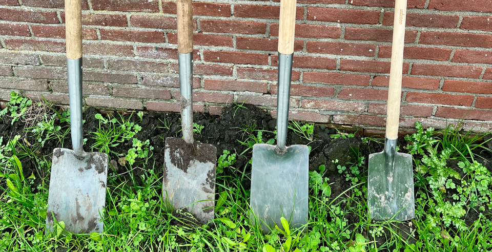 oproep voor meewerkdag op onze plek