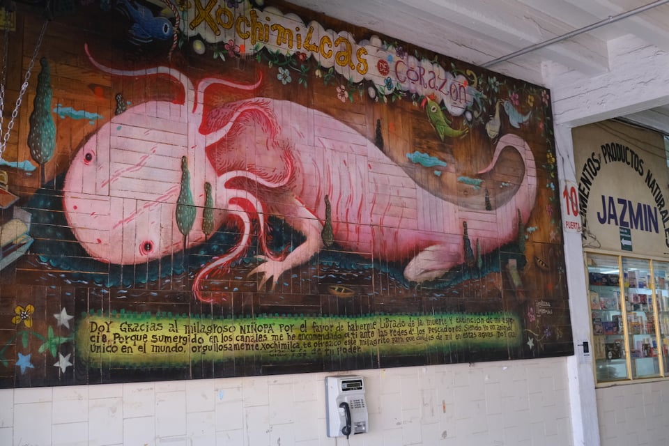 A mural of an axolotl in Xochimilco