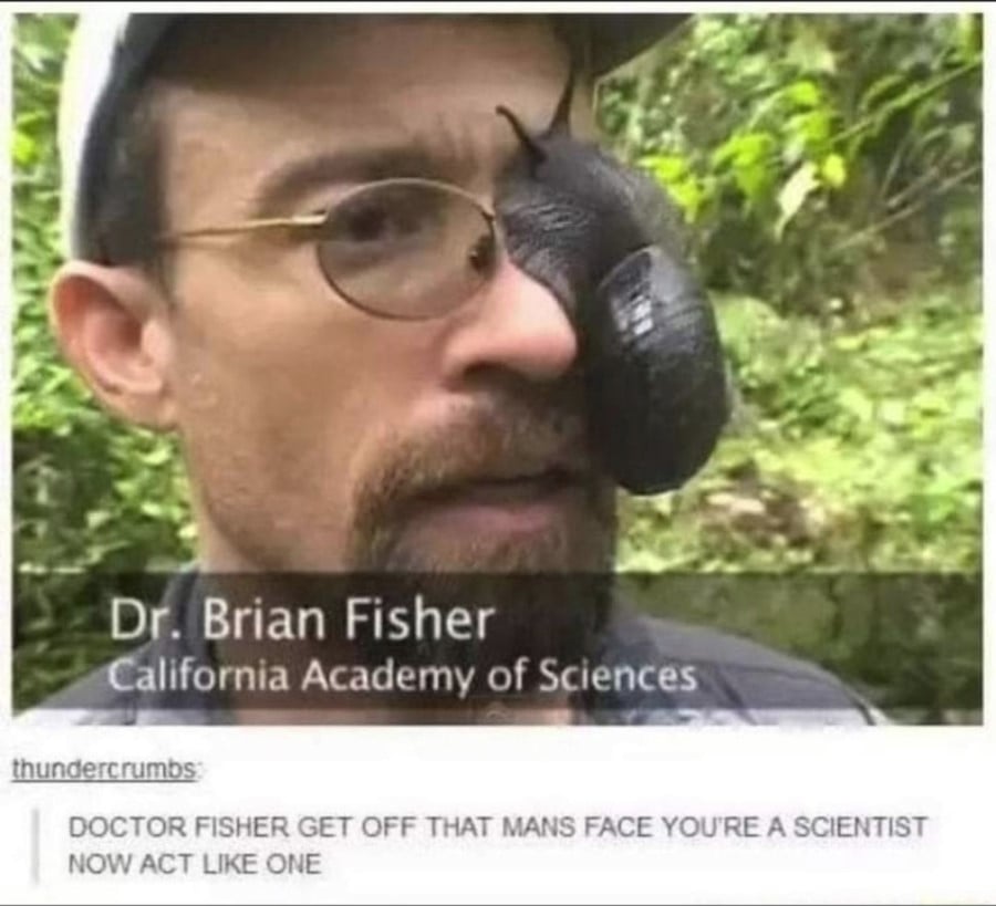 Screenshot of a man with a goatee, wearing a hat and glasses. A huge snail is on the left lens of his glasses. The TV caption reads Dr. Brian Fisher, California Academy of Sciences. Beneath that, tumblr user thundercrumbs has commented: DOCTOR FISHER GET OFF THAT MANS FACE YOU'RE A SCIENTIST NOW ACT LIKE ONE