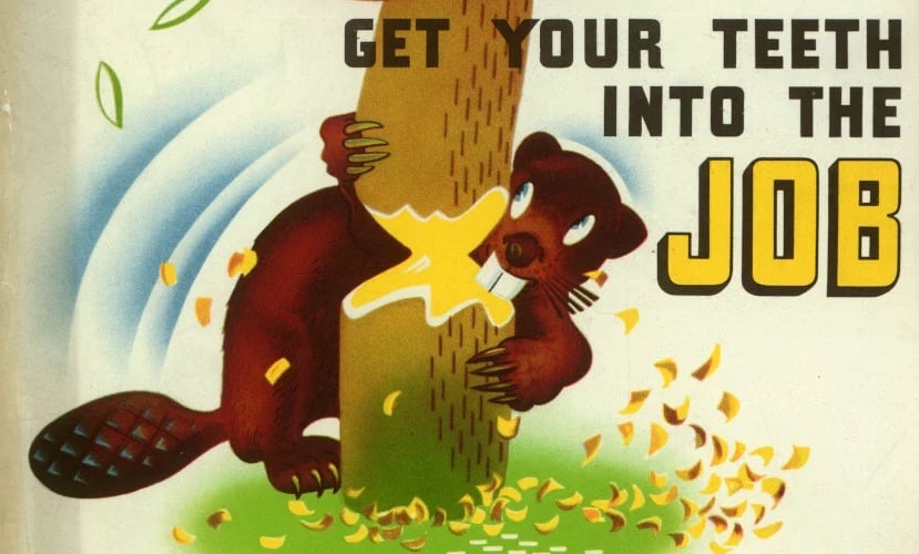 A Canadian propaganda poster from WW2. A beaver is biting into a tree with the phrase "get your teeth into the job"
