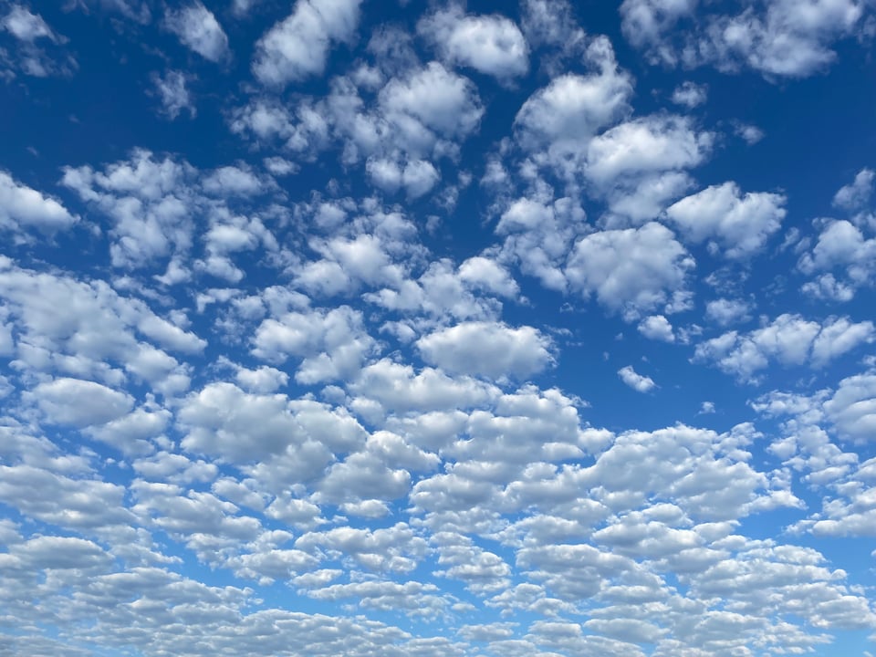 puffy little white clouds marching through a deep blue sky