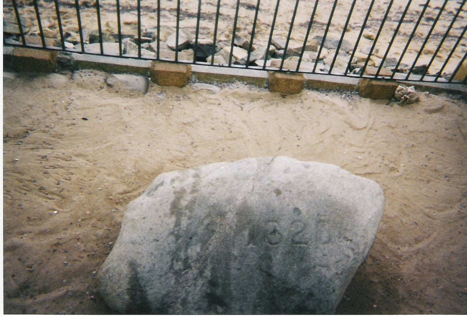 Plymouth Rock