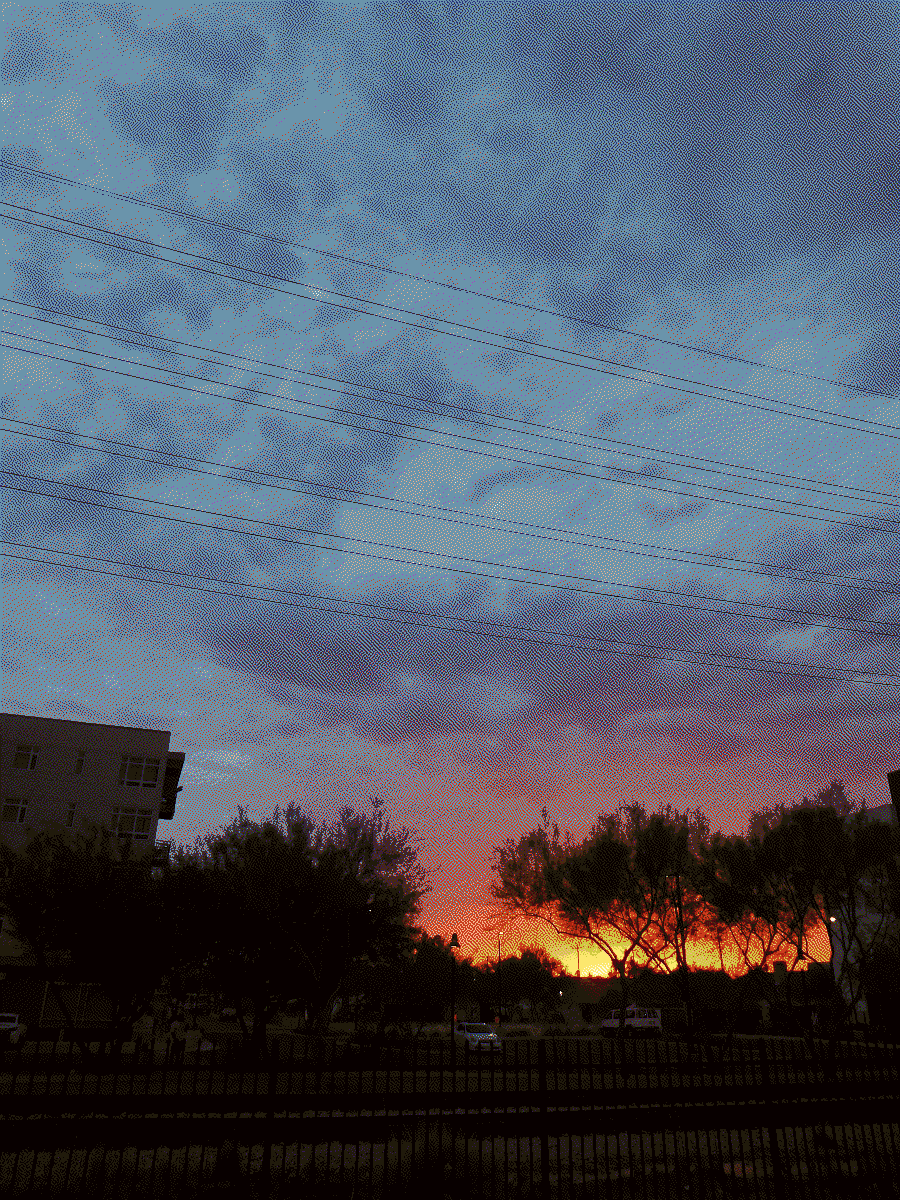 A cloudy sky with skinny trees silhoutted against the setting sun.