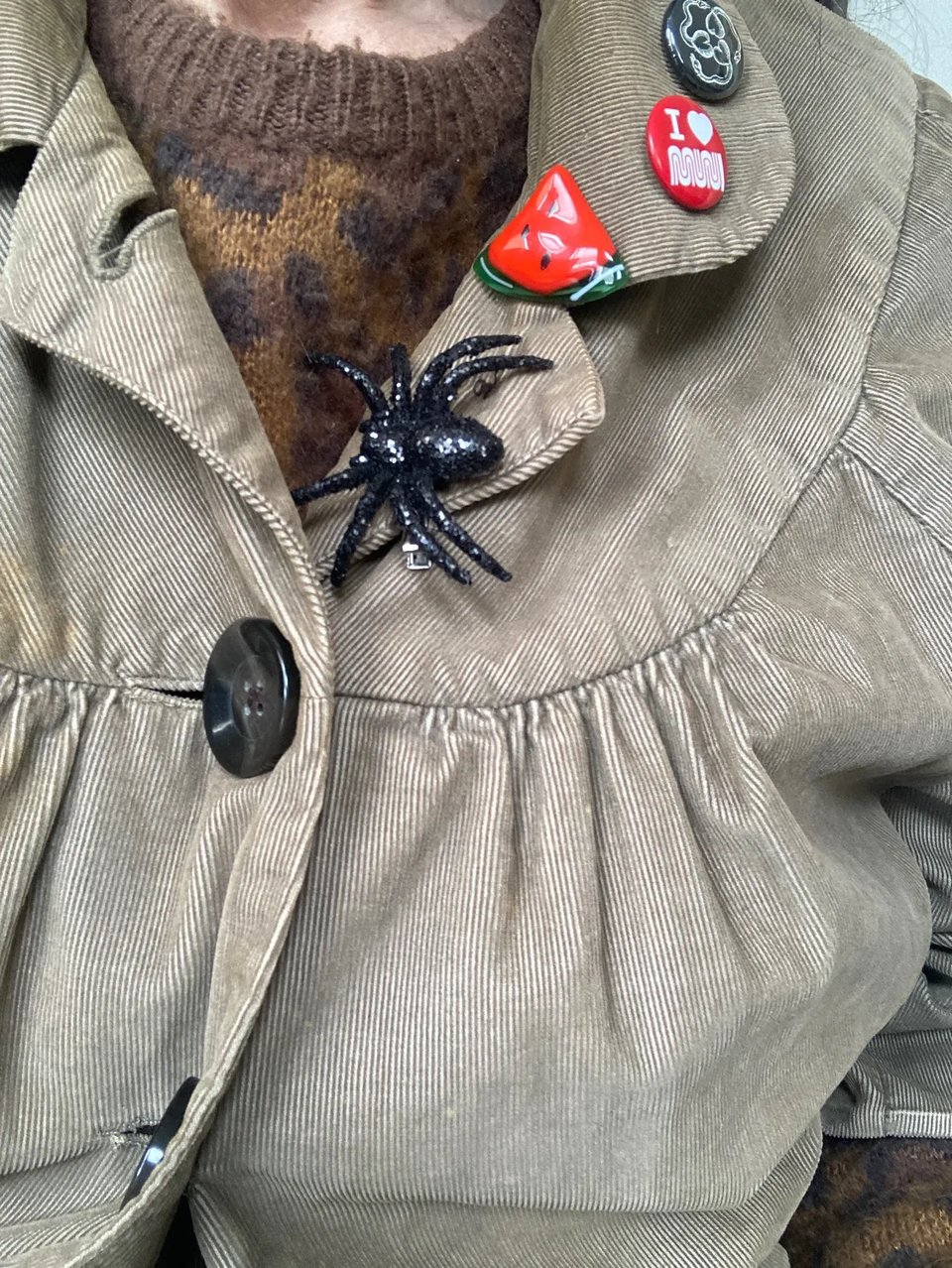 Image description: A close up of a jacket lapel with 4 pins - a spider, a watermelon, some snakes, and one that says I heart MUNI