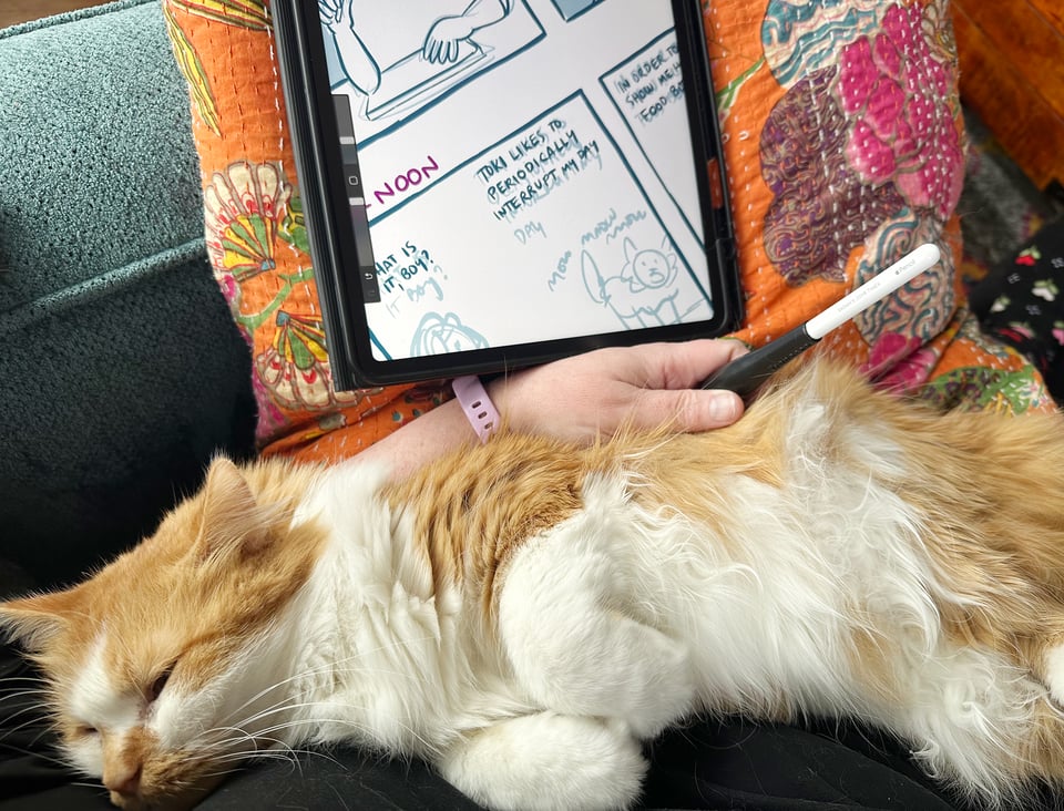 A fluffy orange and white cat sleeping happily while obstructing the artist's process