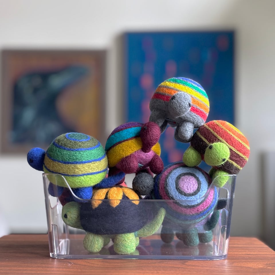 Surprise! Turtles are here!