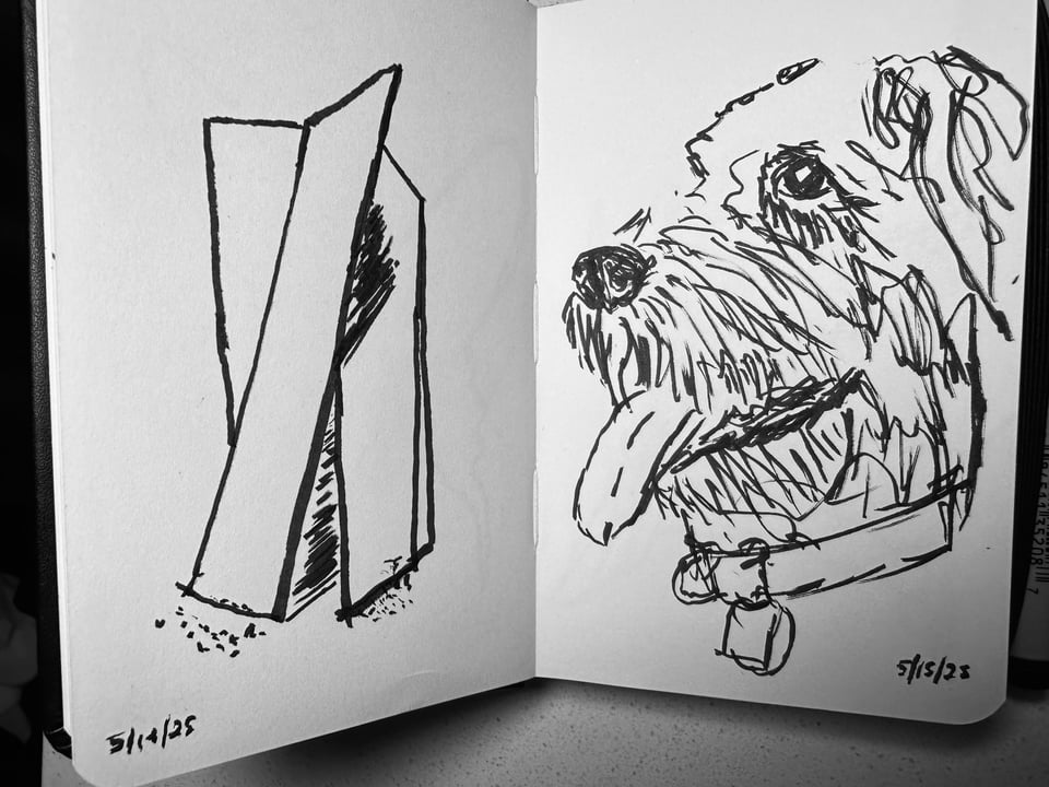 2 brush-pen sketches in a small sketchbook: left, three rectangular slabs aligned against each other; right, an aussiedoodle's head, tongue lolling, looking up