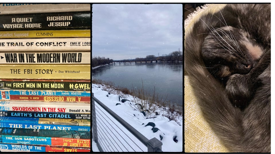 a grid of three photos. L-R: a stack of old paperbacks, including titles like The Last Planet and Swordsmen in the Sky; the Mohawk River with snowy banks; a gray tortie cat sleeping with her tail over her head.