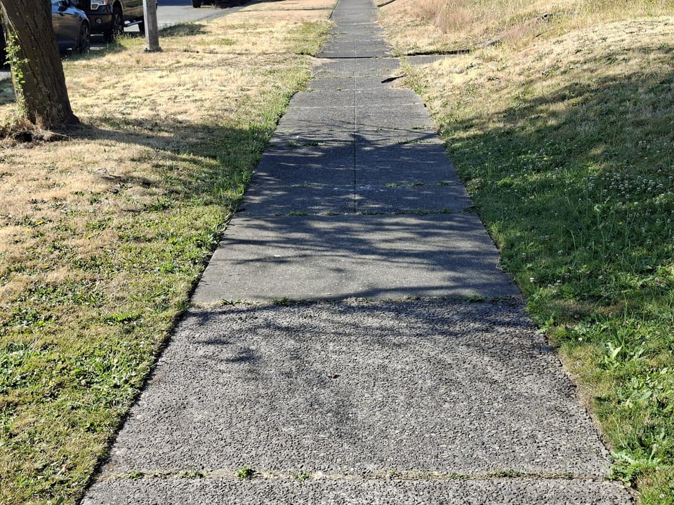 The sidewalk on a walk with mom this morning