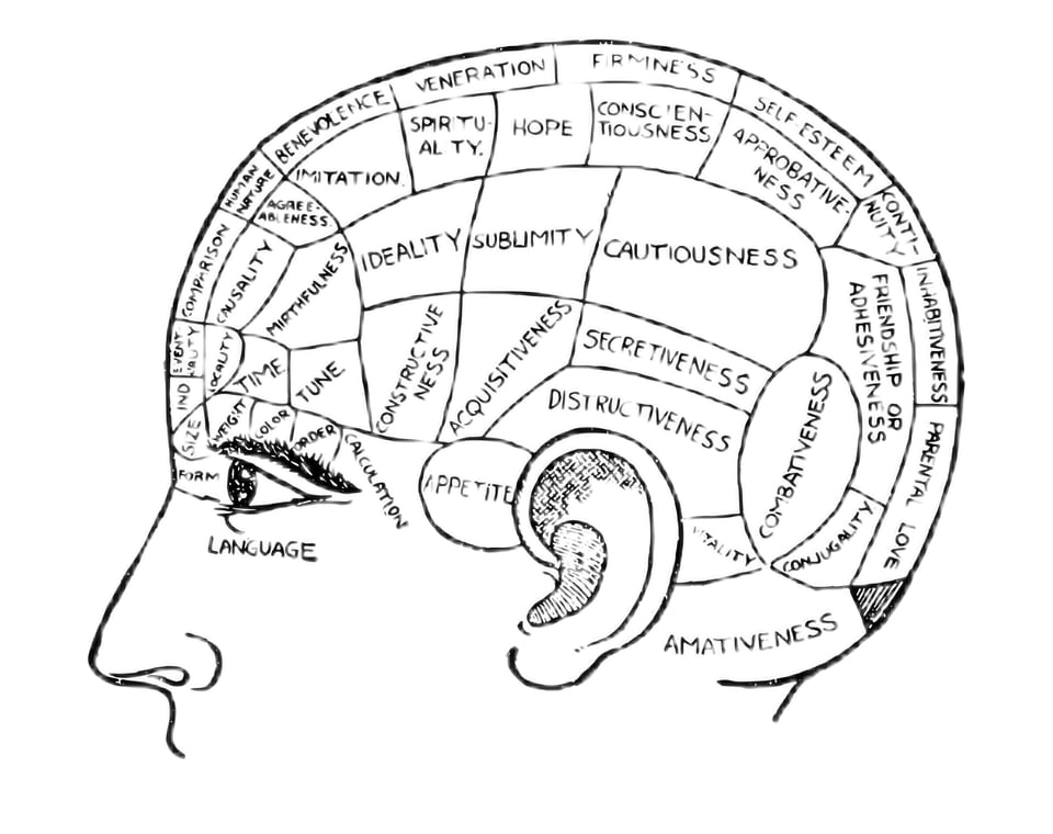 Phrenology chart drawing, vintage neurology illustration.