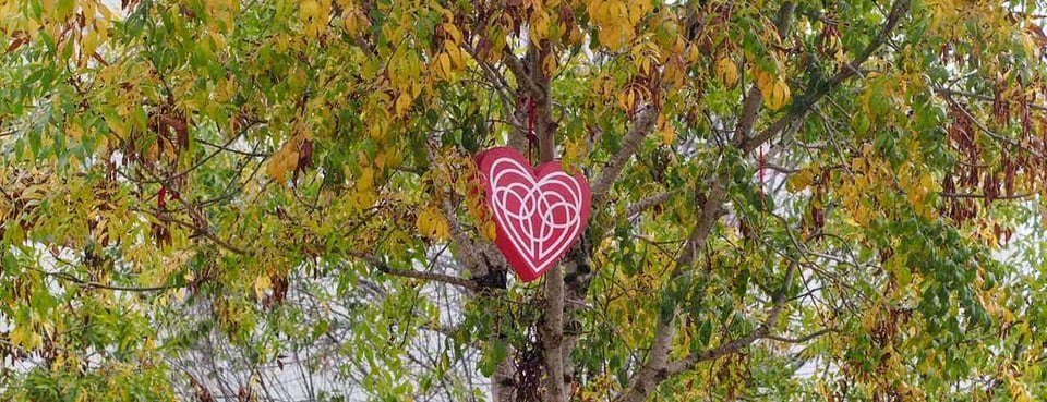 OZ 💌 Cómo sobrevivir a un ataque al corazón